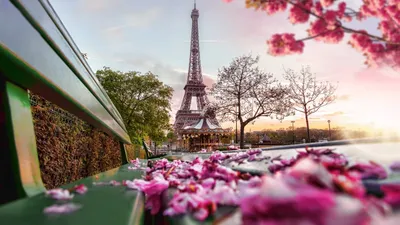 C´EST LA VIE